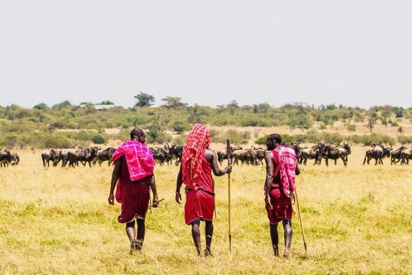 Safari con i Masai nel parco del Ngorongoro